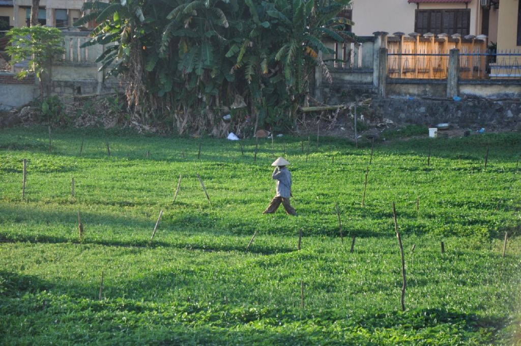 <i><b>Hoi An-019</b></i>